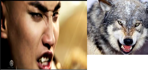 Монгол хүн чоно